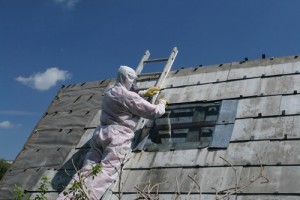 asbestos testing