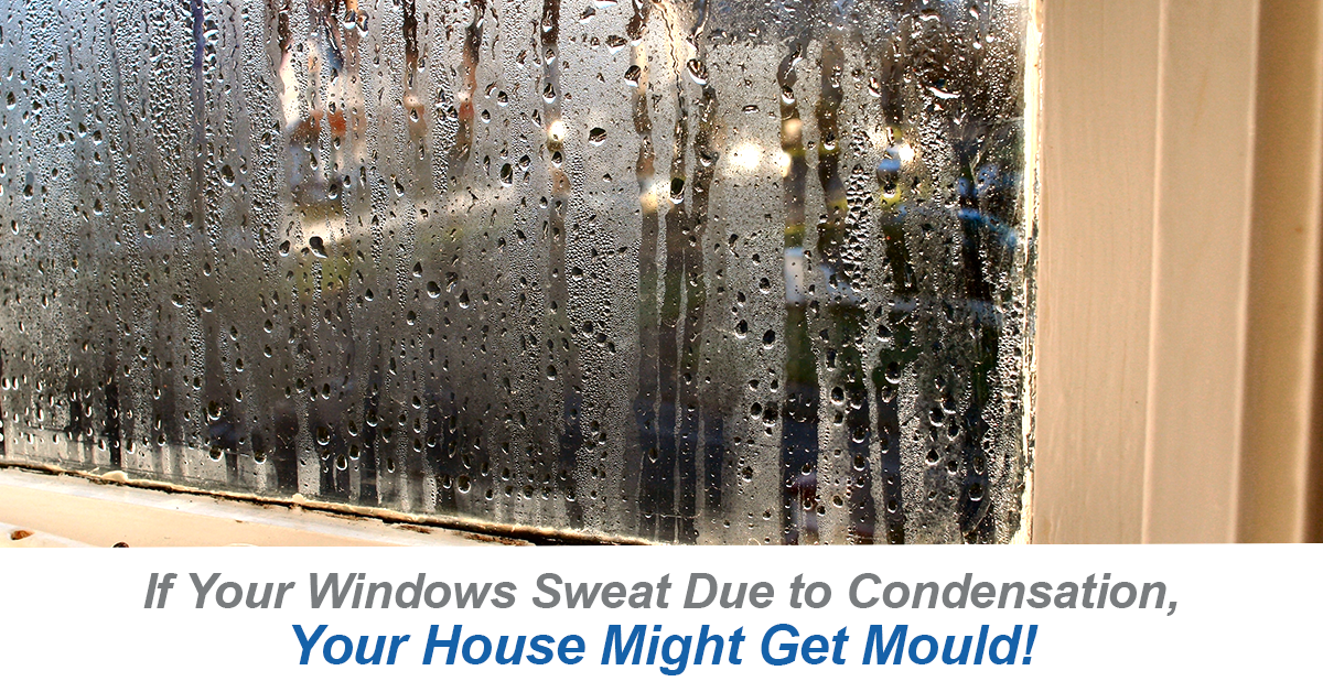If-Your-Windows-Sweat-Due-to-Condensation,-Your-House-Might-Get-Mould_Assuranceenvironmental